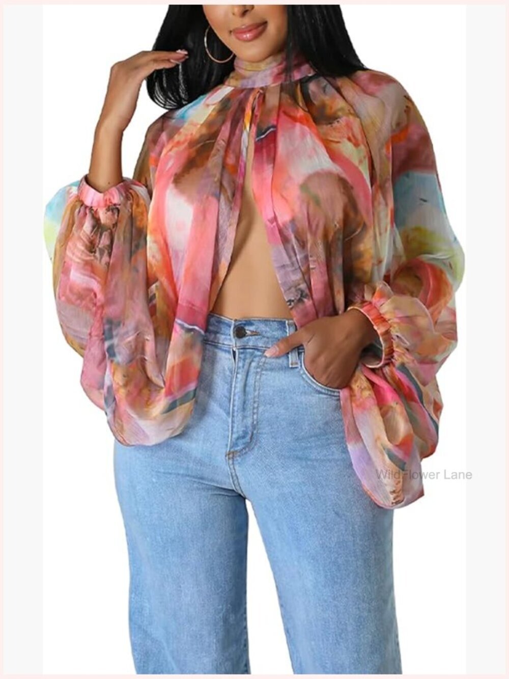 Print Sheer Chiffon Open Back Balloon Sleeve Blouse Top